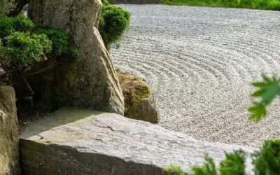 The wisdom of Zen Buddhism