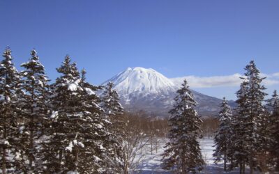 地に足を付ける