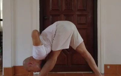 Parsvottanasana